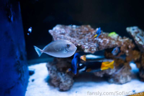 8d4b7a9236bf5ebda7528ecafd3d3245