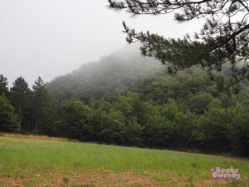 8e62c6b11cef47058ff9dee8cb34f961