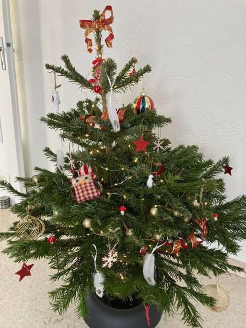 995bb39134a33ed9b0a28d1d4186b8e3