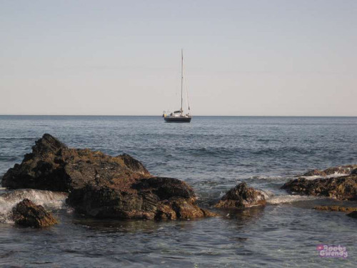 a23fb82055ac66612f33adeea986808b