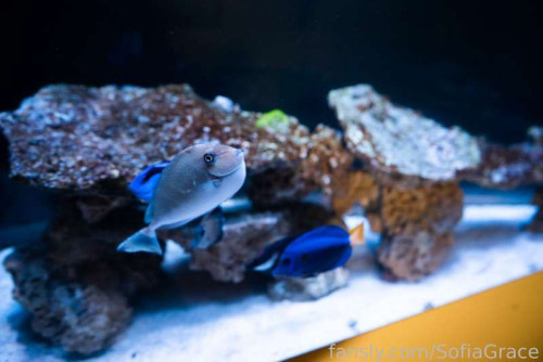 a9648996102e968d6e3bd7487b37c81c