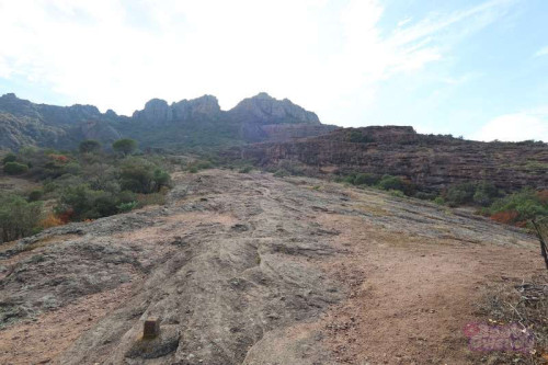 aa7374021d922a9b924223060e47d2eb