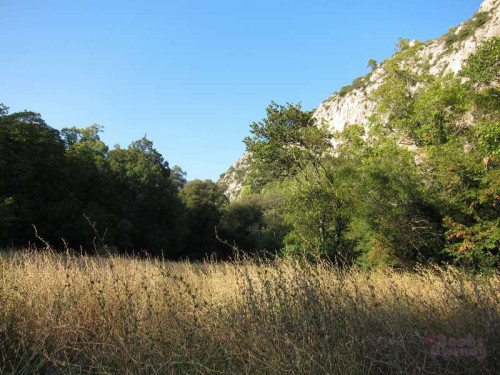 aabcfb60569a1b66a8426b44f27e46c4