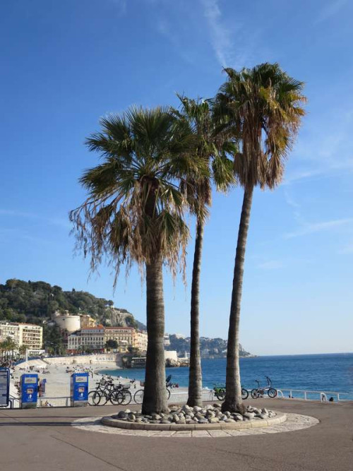 af7302494fa5fcaefc3b0eccd447d9a8