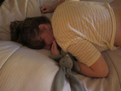 b8563a6026bd5d2bffb394dae3ba0ecc