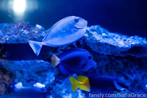 bc4189d1dd800d0529e51f80a6e9de1c