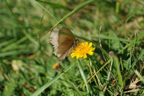 bfd6a795c53fc0a5ad8c10d31ecf8657