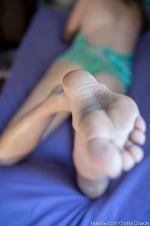 c1c8618ae60aa1b226faade69a314a70