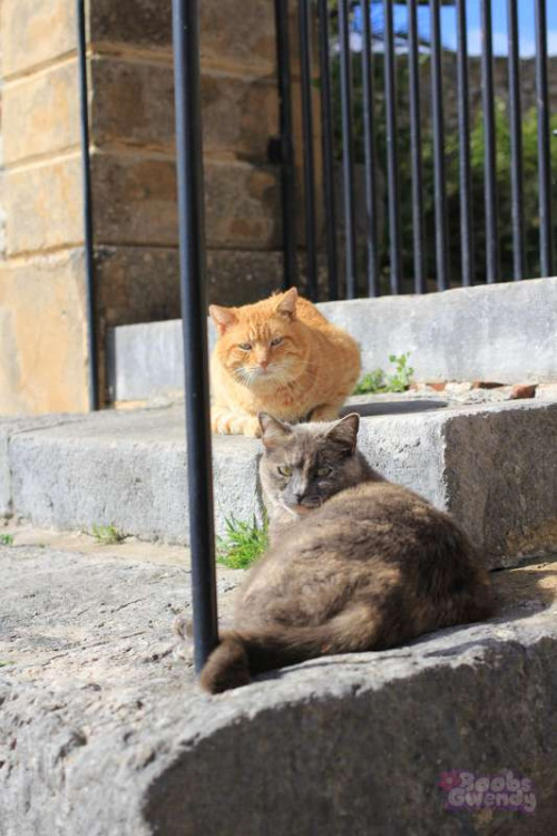 c8f8615e57e98a0c92da042ae979f747