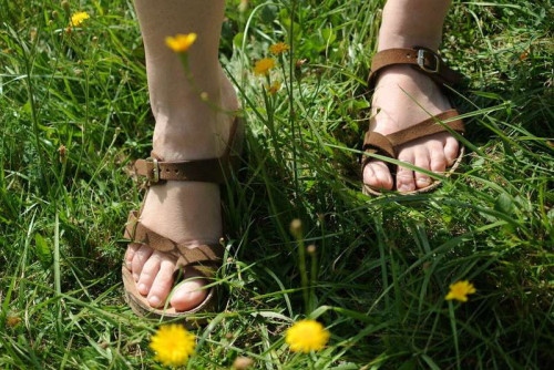 d40effdcfb557f9045be97ea078742e1