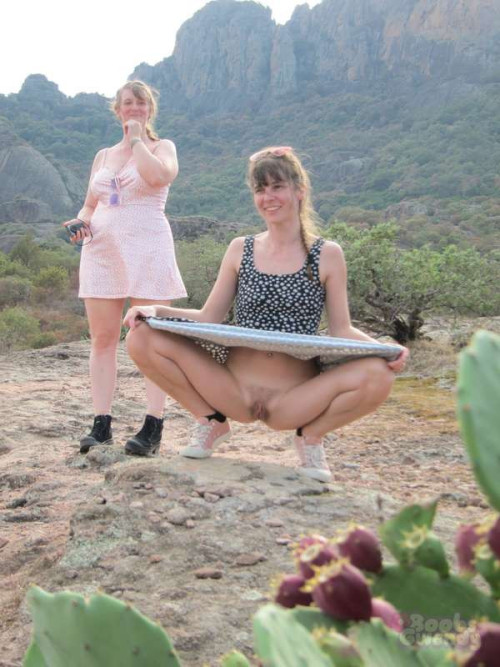 d8c8ed7e4695b4a30620c14808643743