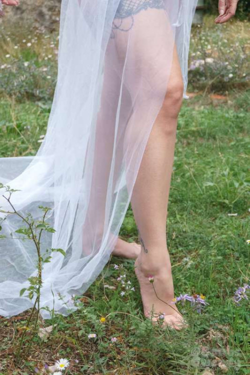 dcf1e1d8519211050bf2fc5c4680a6d8