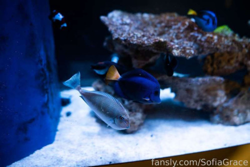 de27b1ad3cdb473091af6d54b2a93820