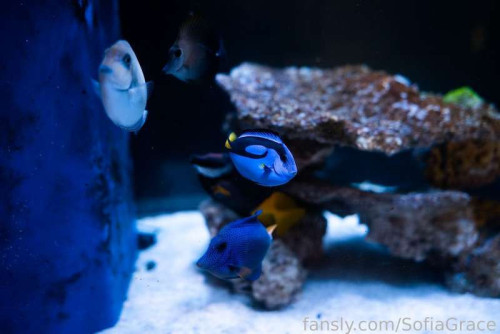 e8e1fcd05a6a4b63f58f4b1cbaa246fe