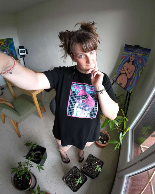 ed904b234a8e2ed859ae8ef7456b244f