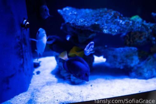 f0c6bf6c2620e6b8a19157b8c5620fdc