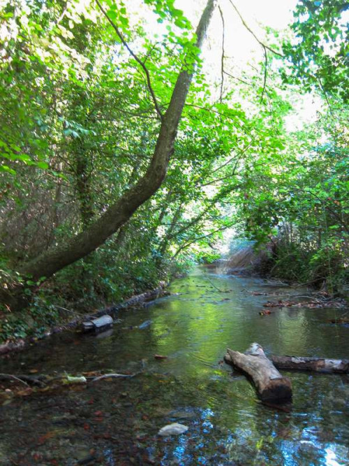 f925462446f7422138c08bfcbd175817