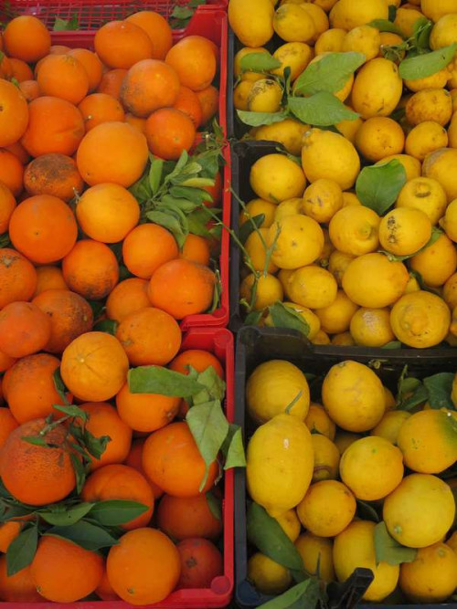 fef0eb8b33ef8ce7059e430c9cea0445