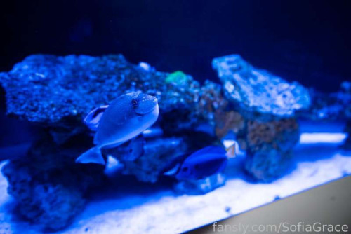 ffb4ccbbebba883fb17cccbe092dc6e4