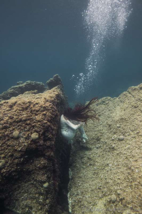 1318874738cd4743f0077786f0a3515f