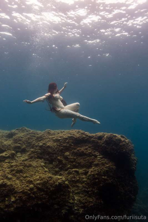 2c95fffc0ed366902e1b870b41dbfede