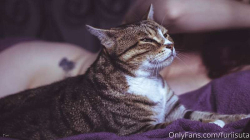 643580e58f2fdbd1d606158e3de2d2a6