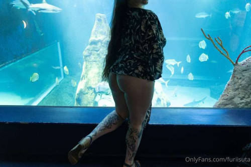 8d19d3ca92676350ad84d35846939bbd