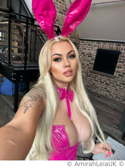 dad78b75193e714fbc1da5cbc1704dda