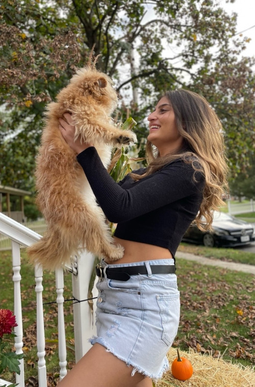 aae00d537b184157cf16e35abaafb866