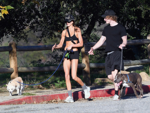 b0a1e14e77fab87668166da0605b4575