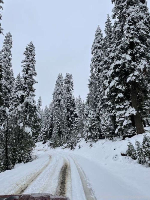 628163f3f573cb7ed3bbc00ea83d8349