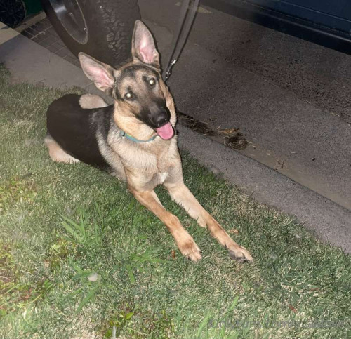 f06a3743990efdb746c3a18c2b2cc725