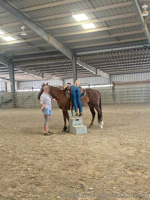 fe83641d1959ec76c2799f6b383a2fbc