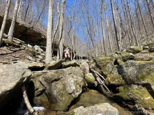 2ebb42f419416fdb833e5f1dd202c5b0