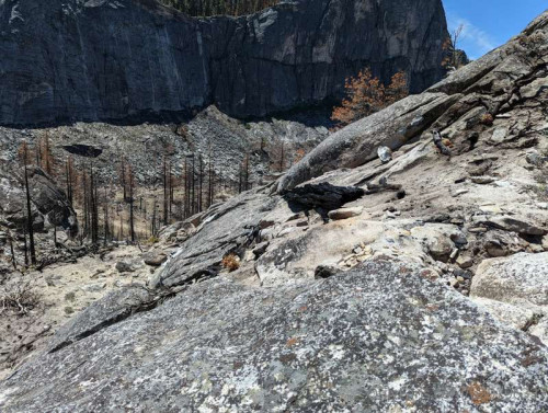 2ebbfd1ff2872ad1371d9aecf2ab0587