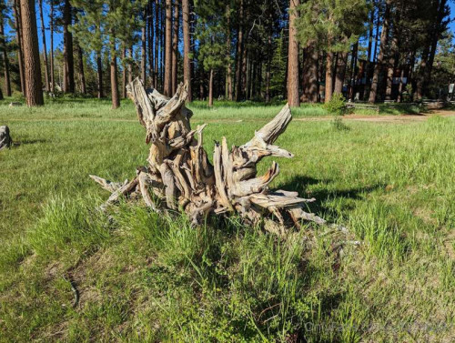 67781cfc55e73ae0556ea70bb4b70fd1