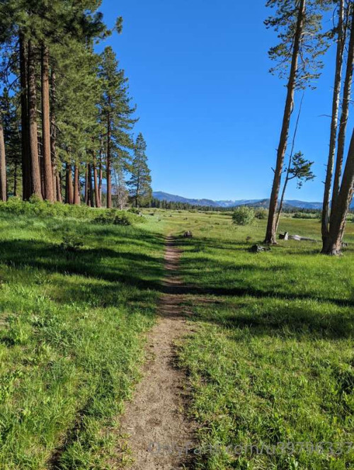 7700d71c6d0a95150b5f77f55822eddb