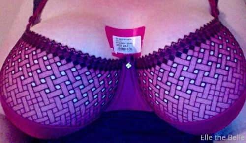 8528d2302fb0310a550e9360a20e5aaa