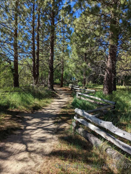 a2123135fb082b6f5e76cadcc69e86c5