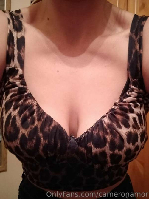 cbeaa1e8b58218ccfdd89b292c8edf22