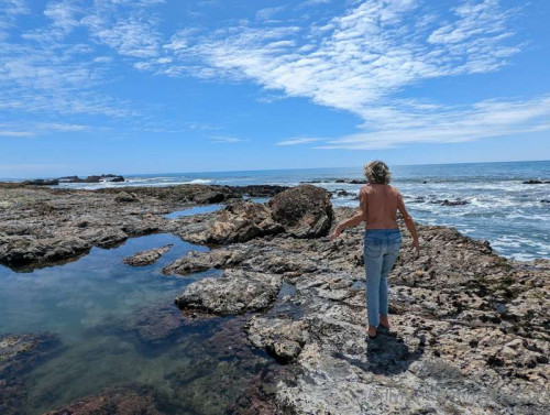 df74d044bda808a36d9dd8d2b012fe4d