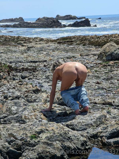 e667ed5c8cc04a70e7a1a3a69d75d1d5