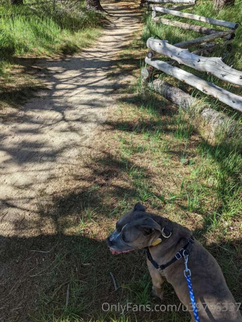 e67732baf839d7f2ccb133d5526e4094