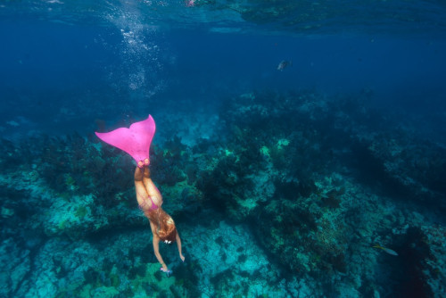 4d89710f773c4411575fc391dfd562c7