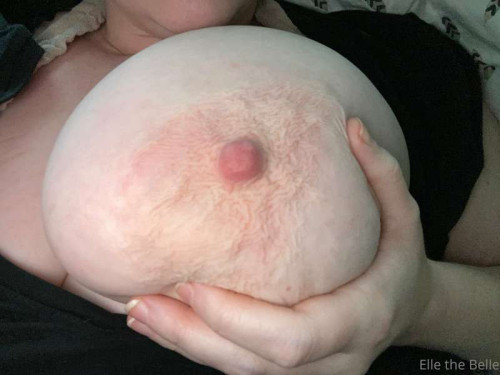 fdf04c4d2170e08396c83fa36e5e8845