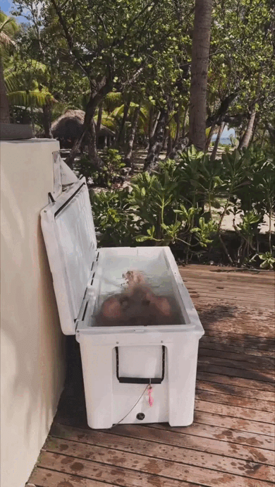 7ce35d7f416716474d322a6b56f9b14b.gif
