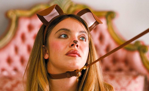 8e513c671115bb264d78d43384cea2af